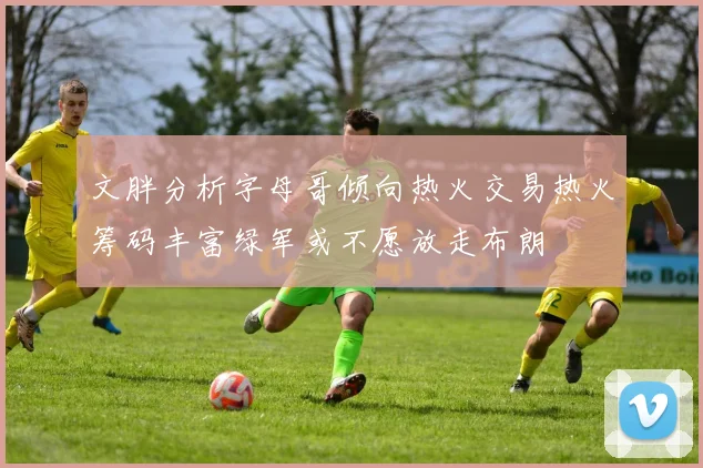 文胖分析字母哥倾向热火交易热火筹码丰富绿军或不愿放走布朗